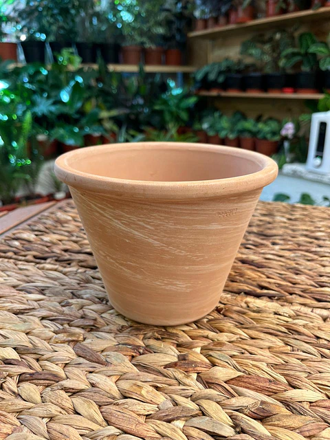 Plantas RV - Maceta Vasum 17cm 