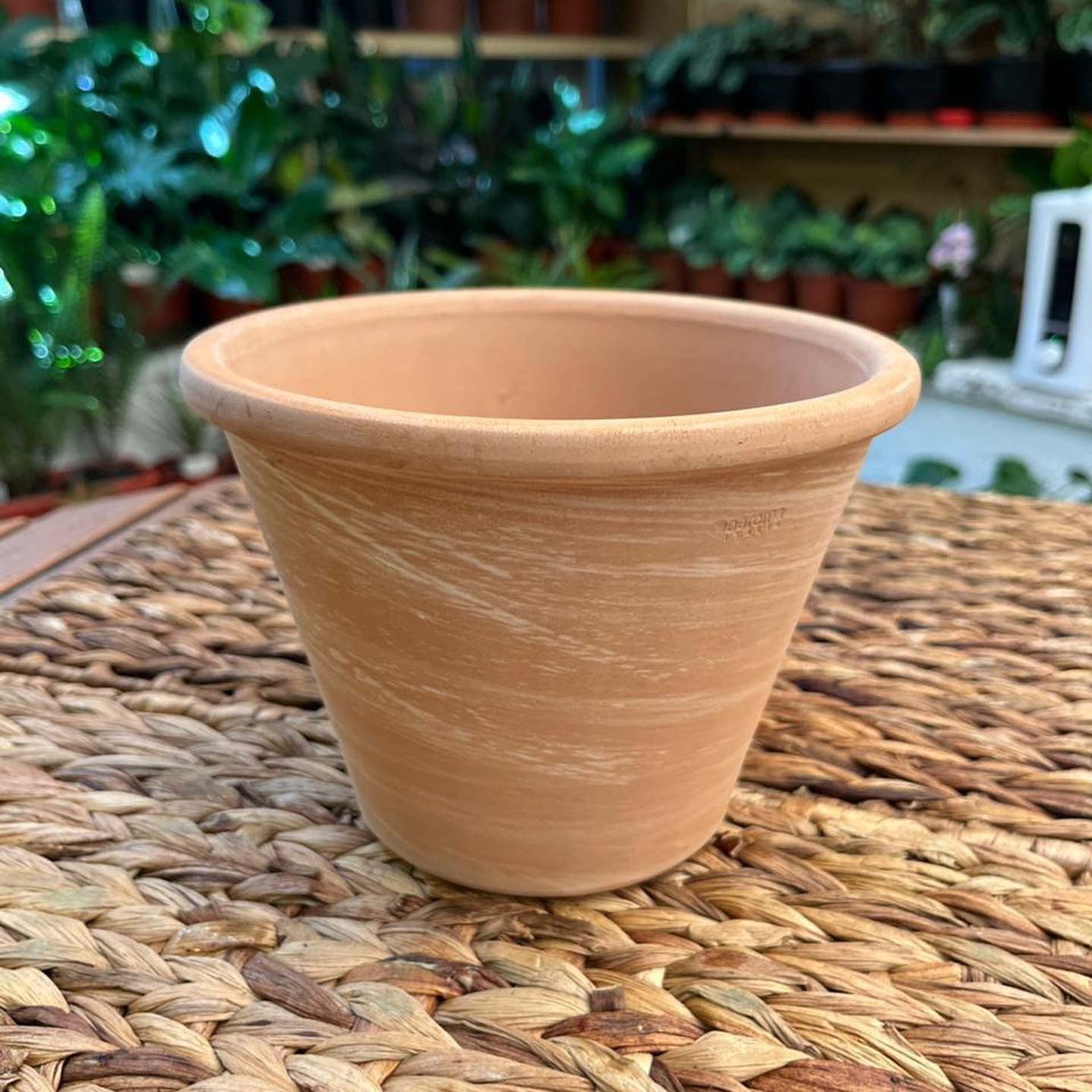 Plantas RV - Maceta Vasum 17cm  1