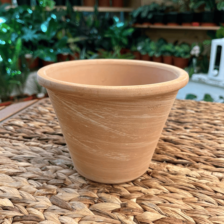 Plantas RV - Maceta Vasum 17cm  1