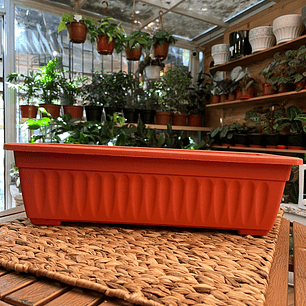Plantas RV - Jardinera rectangular M 