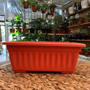 Plantas RV - Jardinera rectangular S 