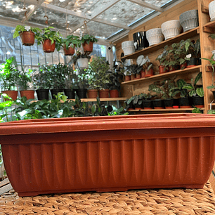Plantas RV - Jardinera 50x17 cm 