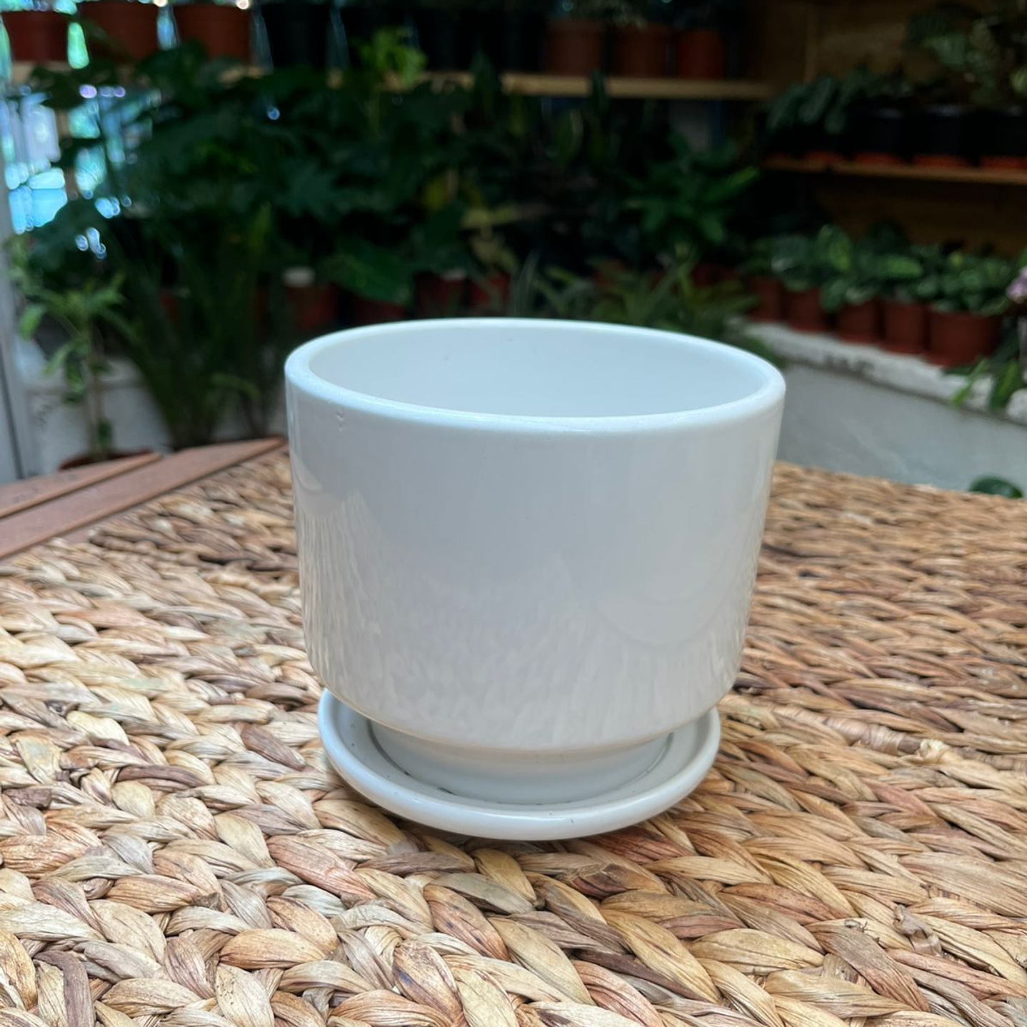 Plantas RV - Macetero Cerámica S  1