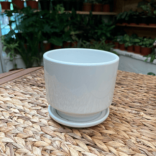 Plantas RV - Macetero Cerámica S 