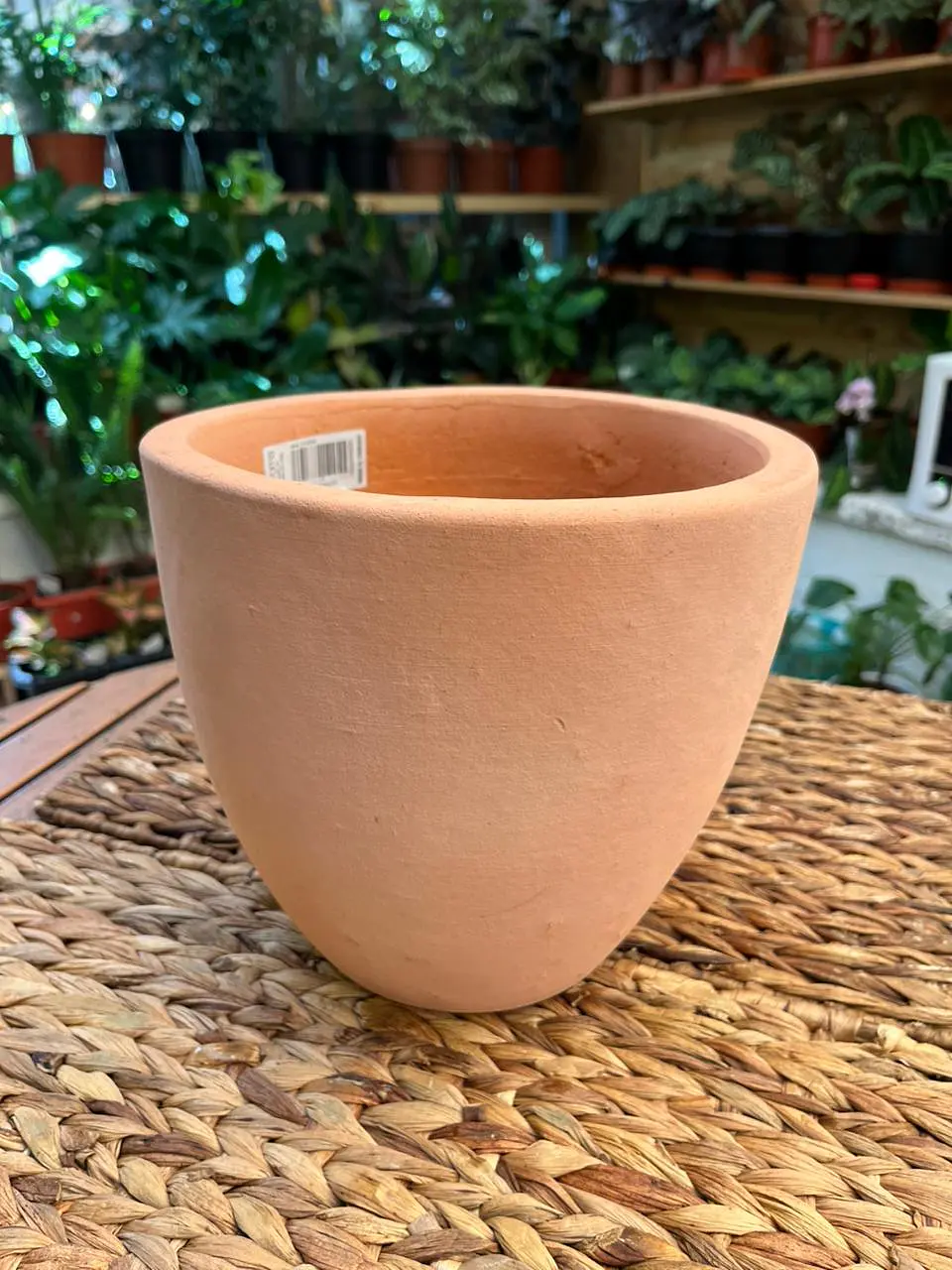 Plantas RV - Maceta dulce Ovalada 23cm  1
