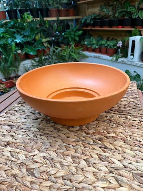 Plantas RV - Centro Mesa Rústico 32cm 
