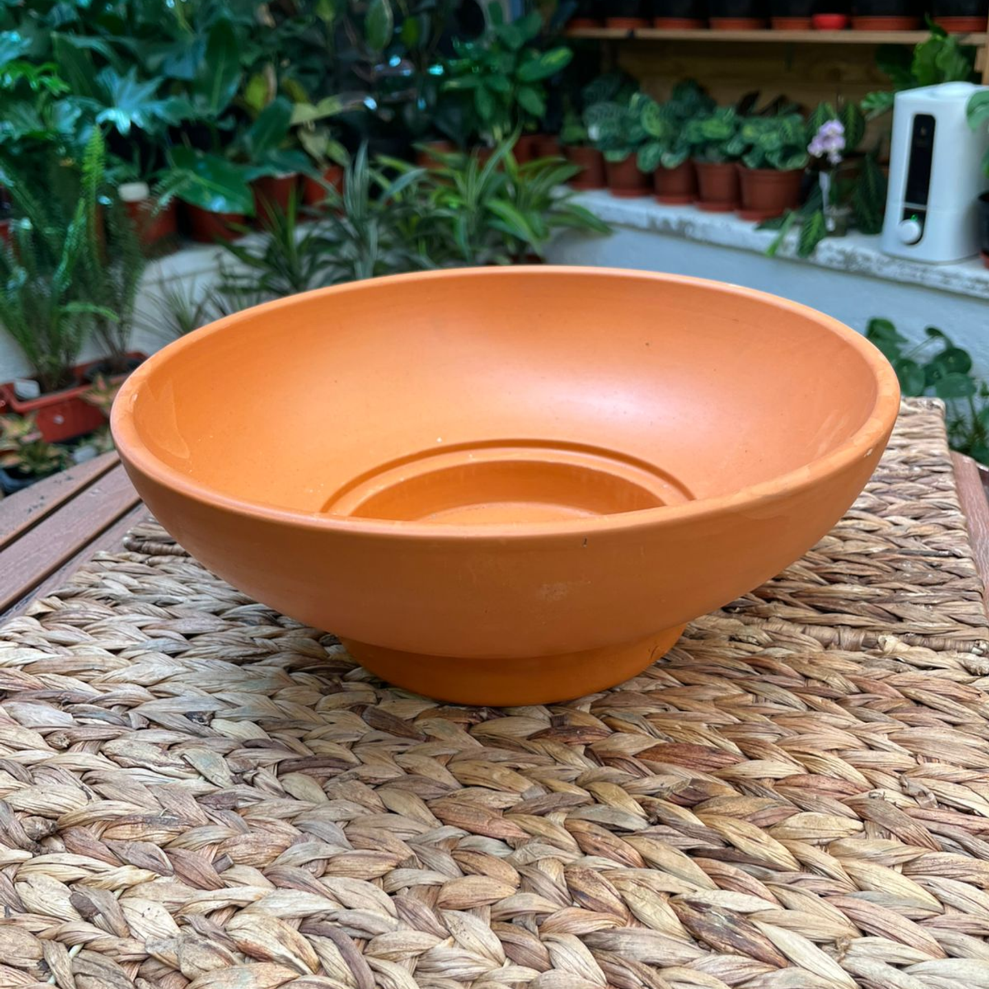 Plantas RV - Centro Mesa Rústico 32cm  1