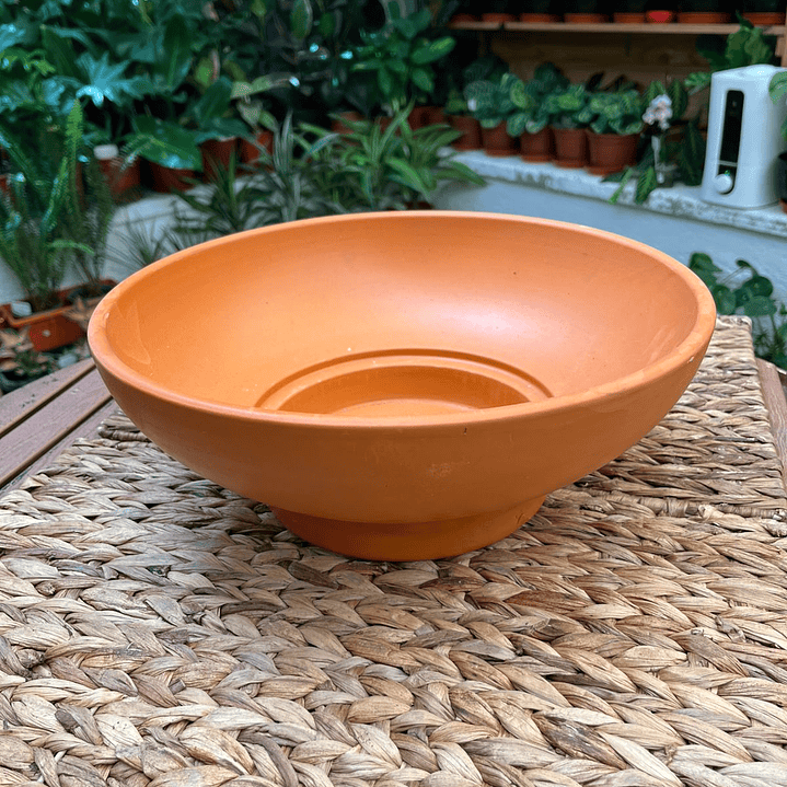 Plantas RV - Centro Mesa Rústico 32cm  1