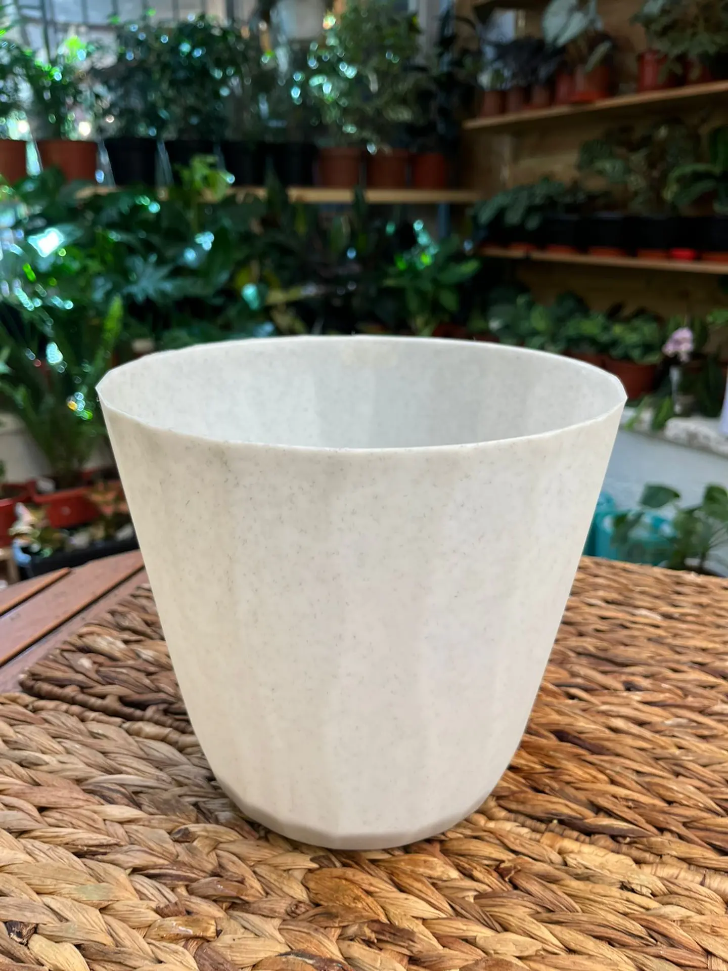 Plantas RV - Macetero Autorregante Blanco 20cm  1