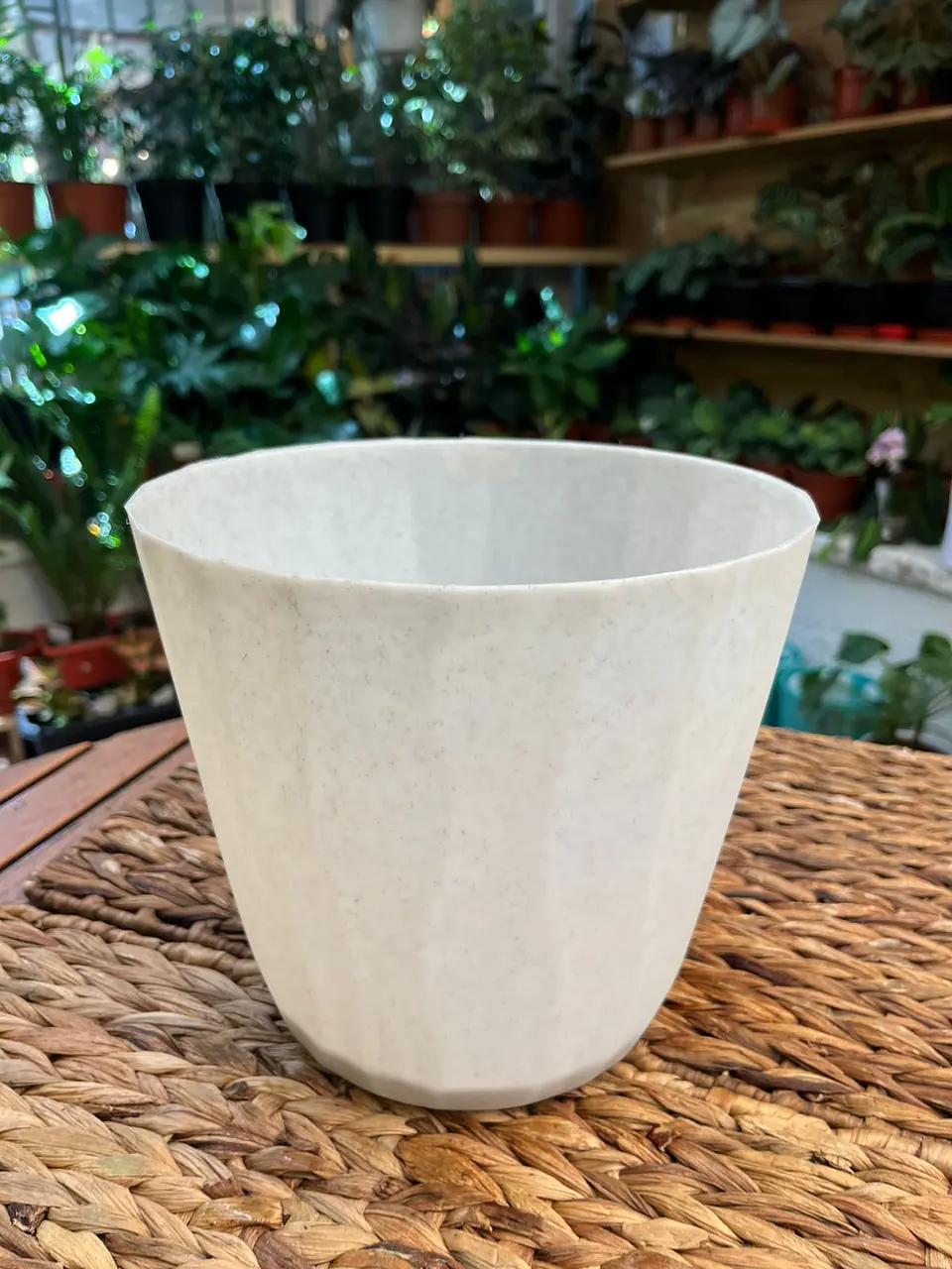 Plantas RV - Macetero Autorregante Blanco 20cm  1