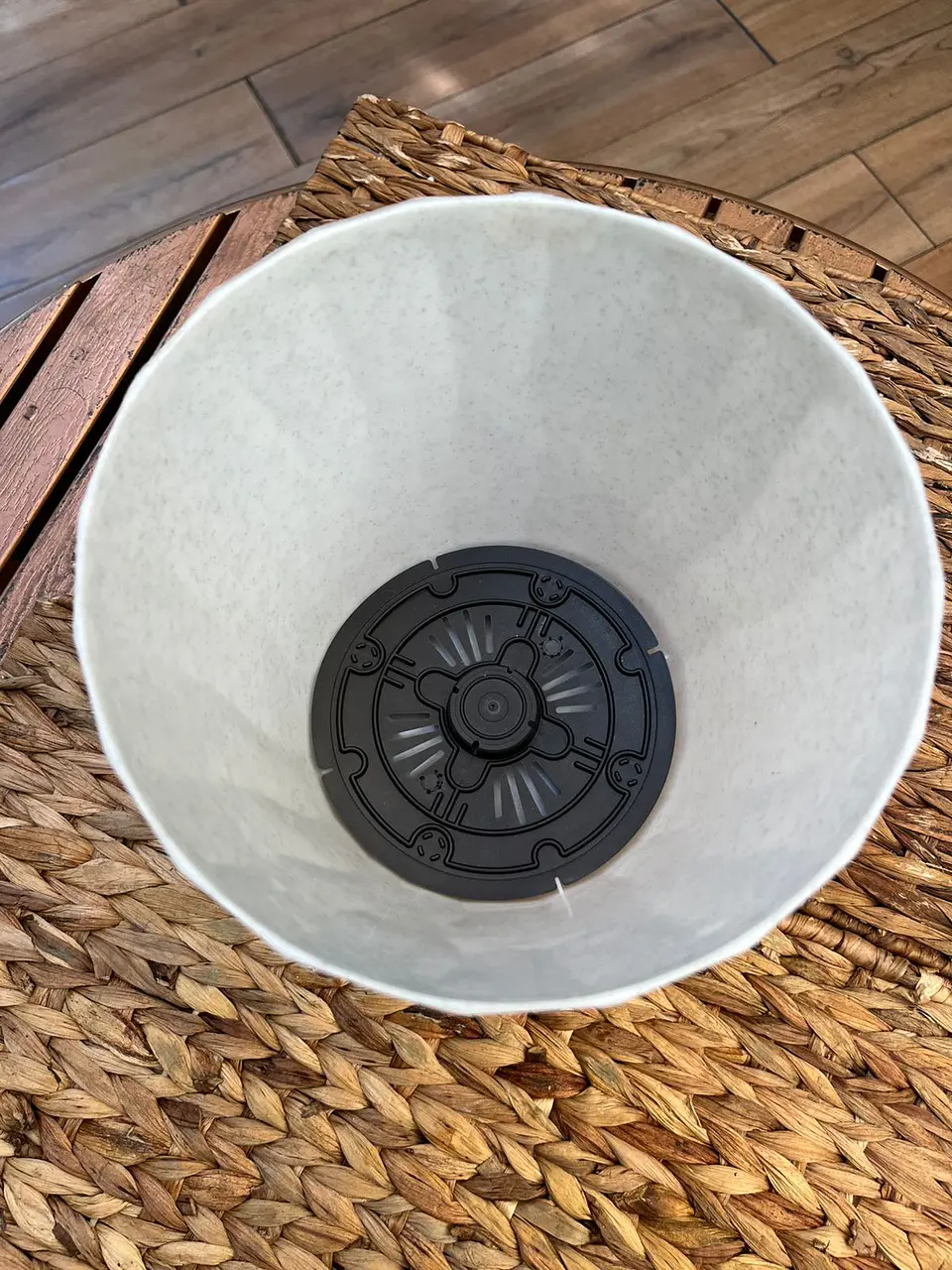 Plantas RV - Macetero Autorregante Blanco 20cm  2