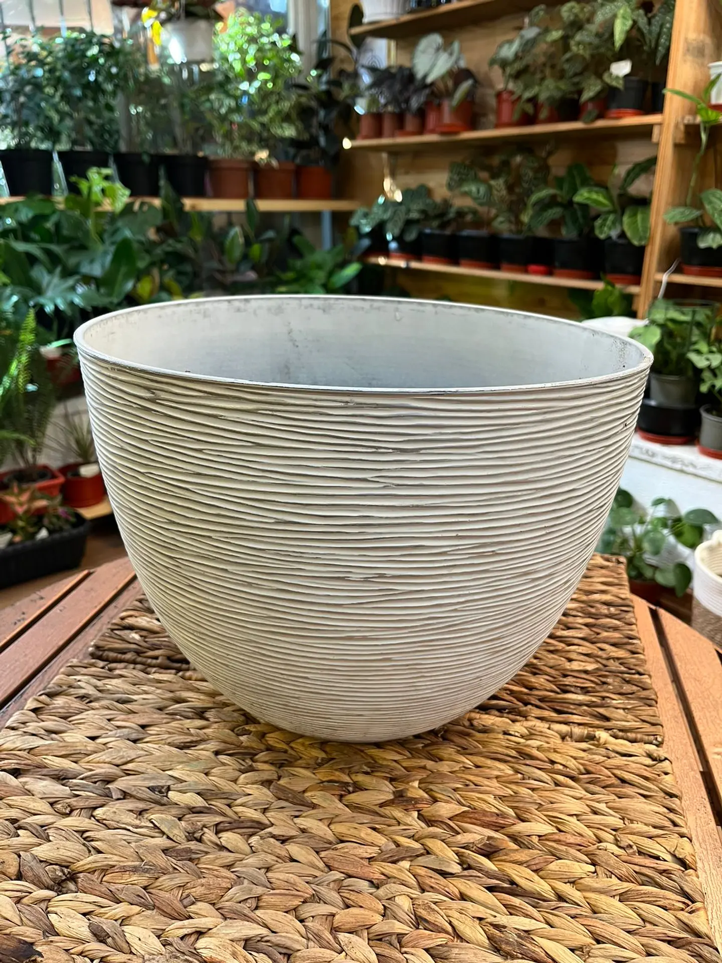 Plantas RV - Macetero Plástico Grafiat tamaño M / Retiro solo en tienda  1