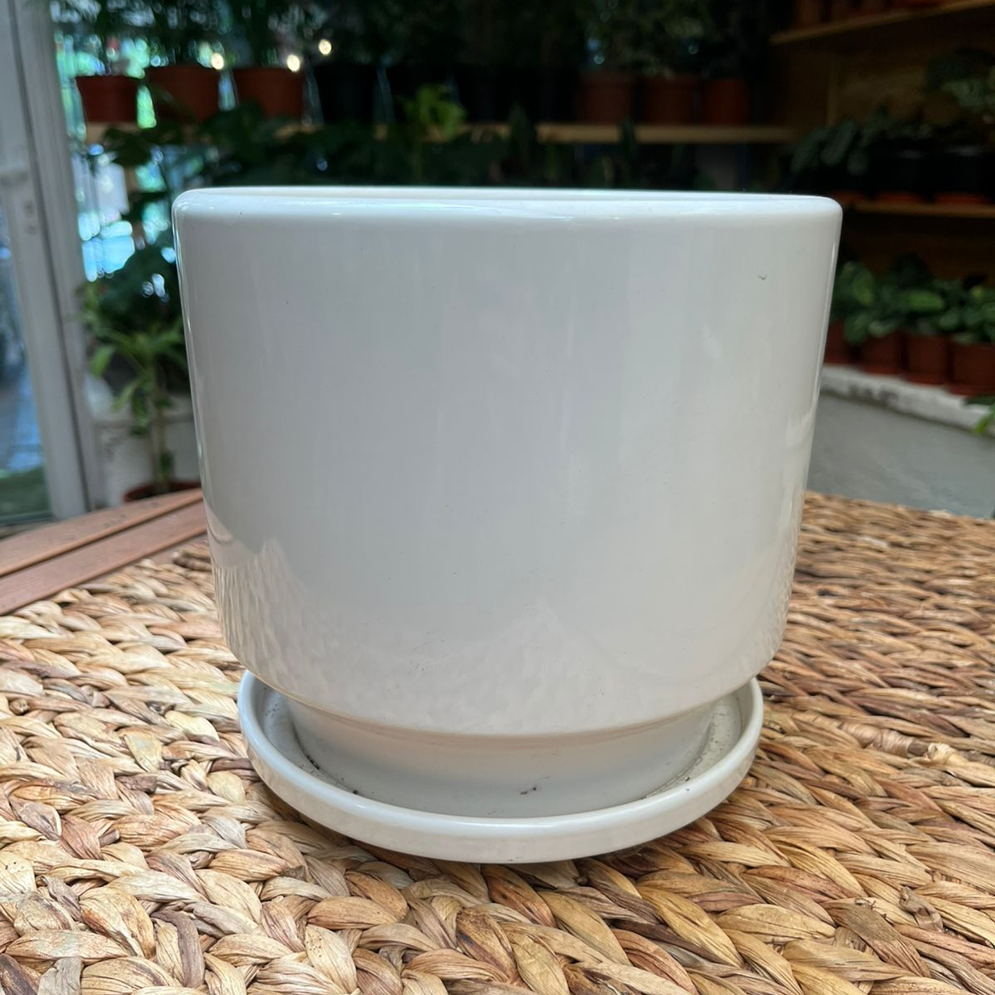 Plantas RV - Macetero Cerámica L 1