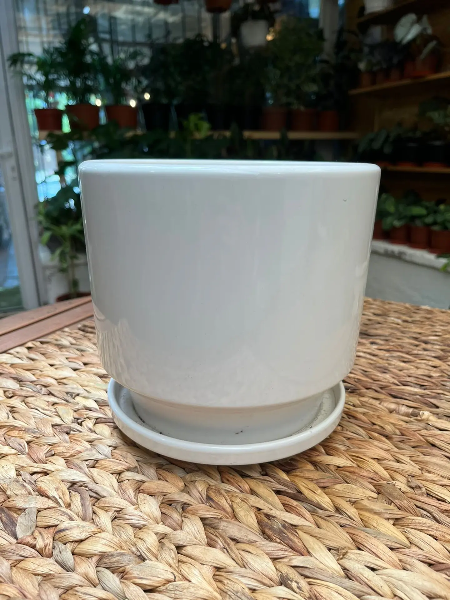 Plantas RV - Porta Maceta Cerámica L 1