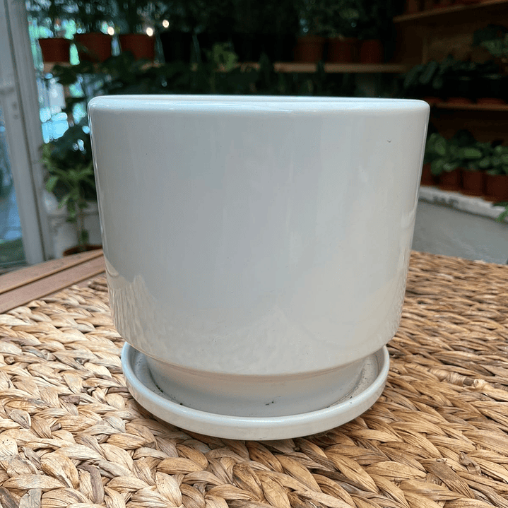 Plantas RV - Macetero Cerámica L 1