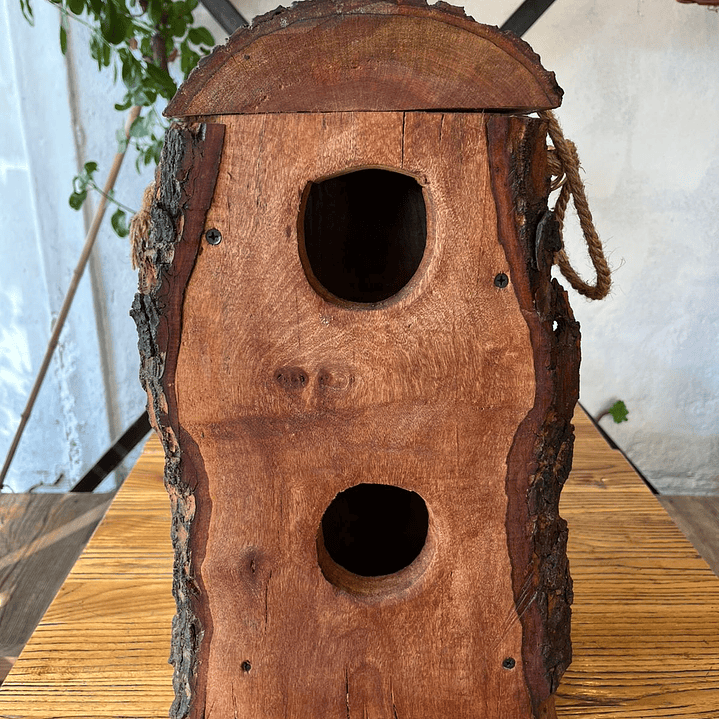 Plantas RV - Casa de Pájaro tamaño M  1