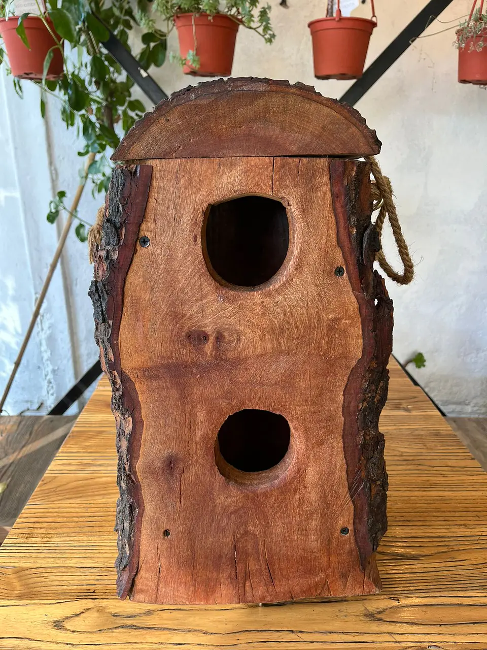 Plantas RV - Casa de Pájaro tamaño M  1