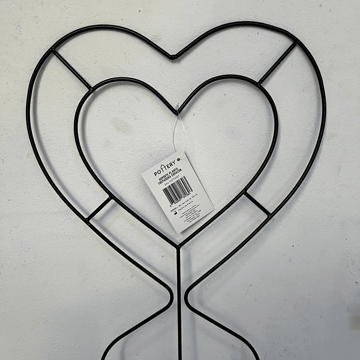 Plantas RV - Soporte Planta Trepadora Corazón  1