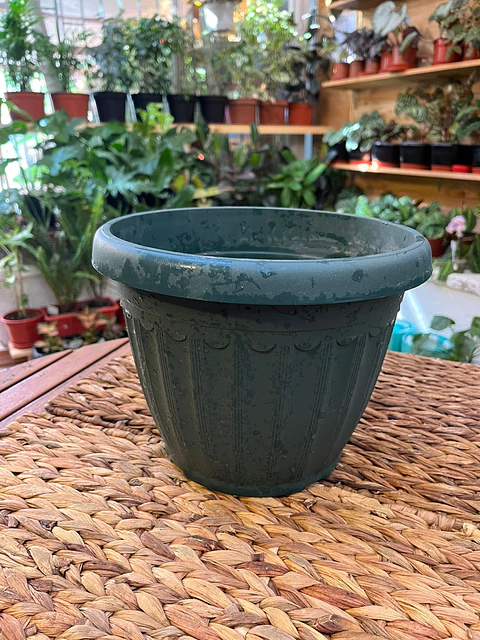 Plantas RV - Macetero Estriado M 