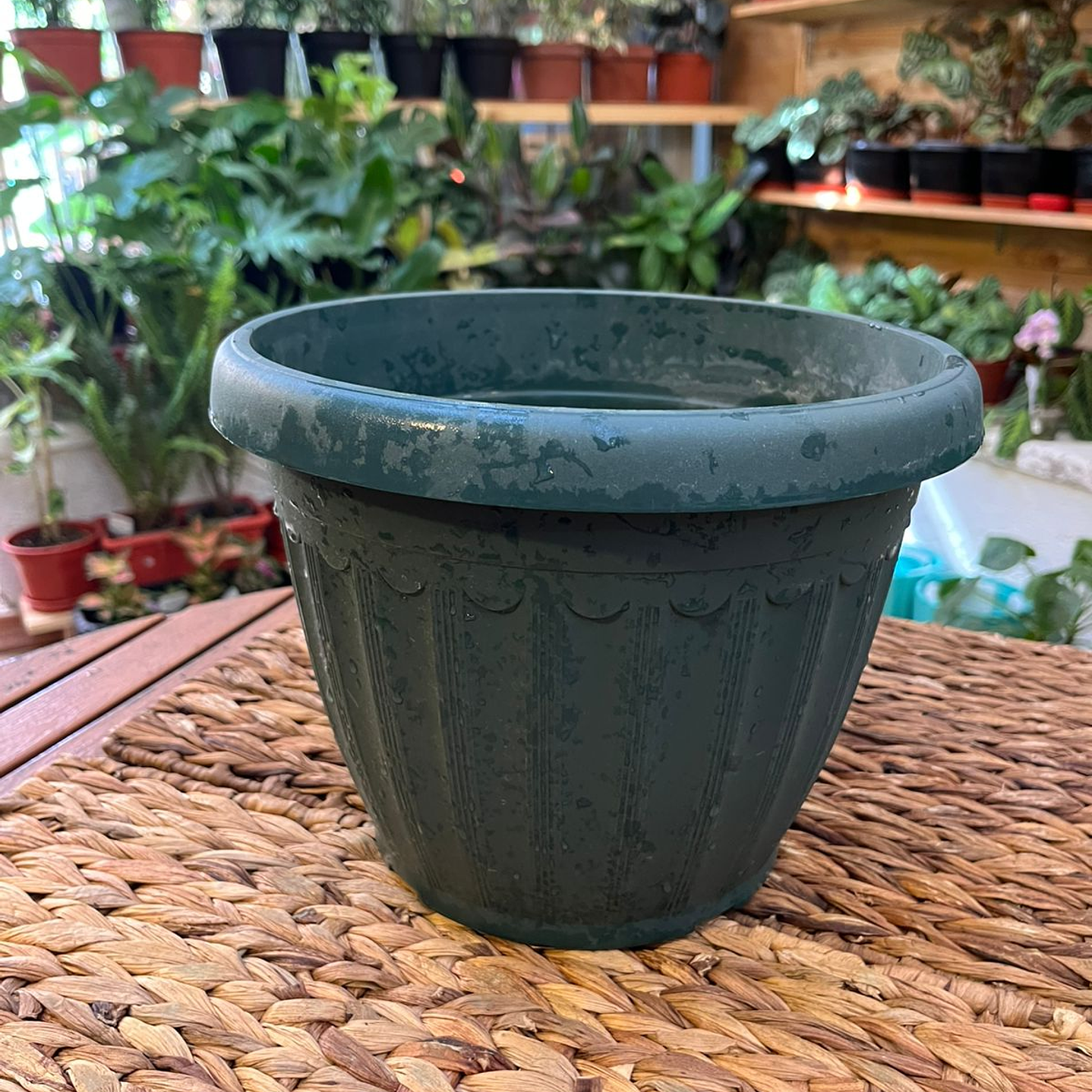 Plantas RV - Macetero Estriado M  1