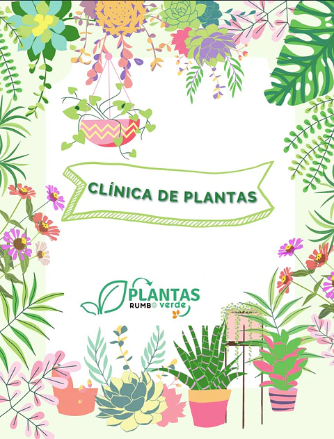 Plantas RV - Clínica de Plantas 