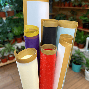 Plantas RV - Envoltura regalo unidad 