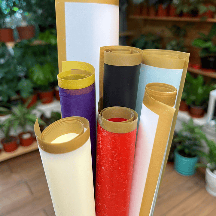 Plantas RV - Envoltura regalo unidad  1