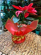Plantas RV - Envoltura regalo unidad  - Miniatura 3