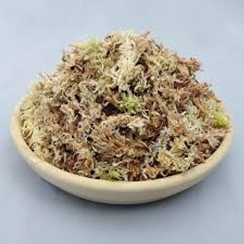 Jardín Victoria - Musgo Sphagnum 4 litros