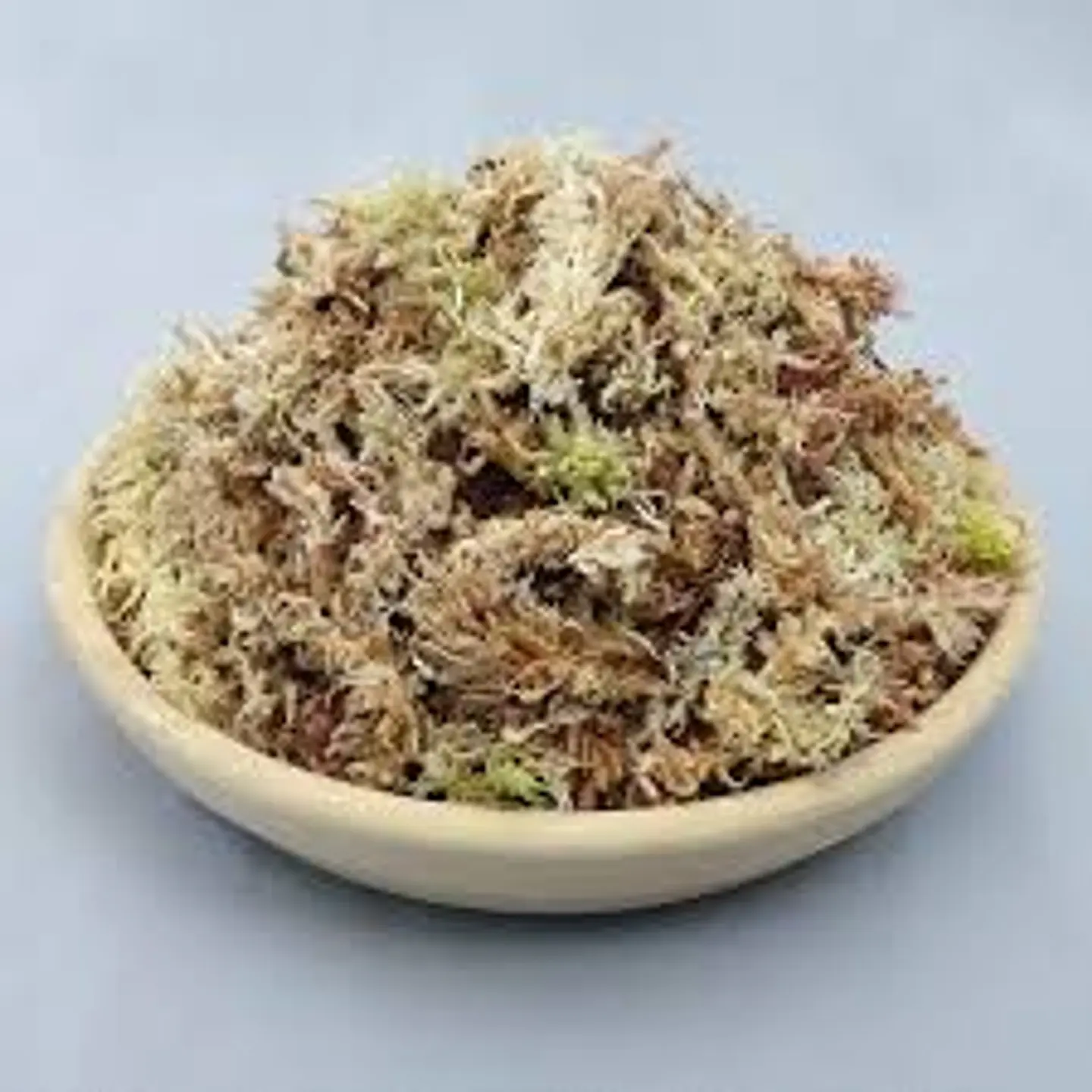 Jardín Victoria - Musgo Sphagnum 4 litros 1