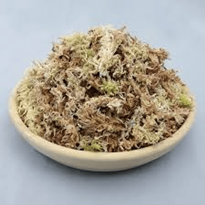 Jardín Victoria - Musgo Sphagnum 4 litros 1