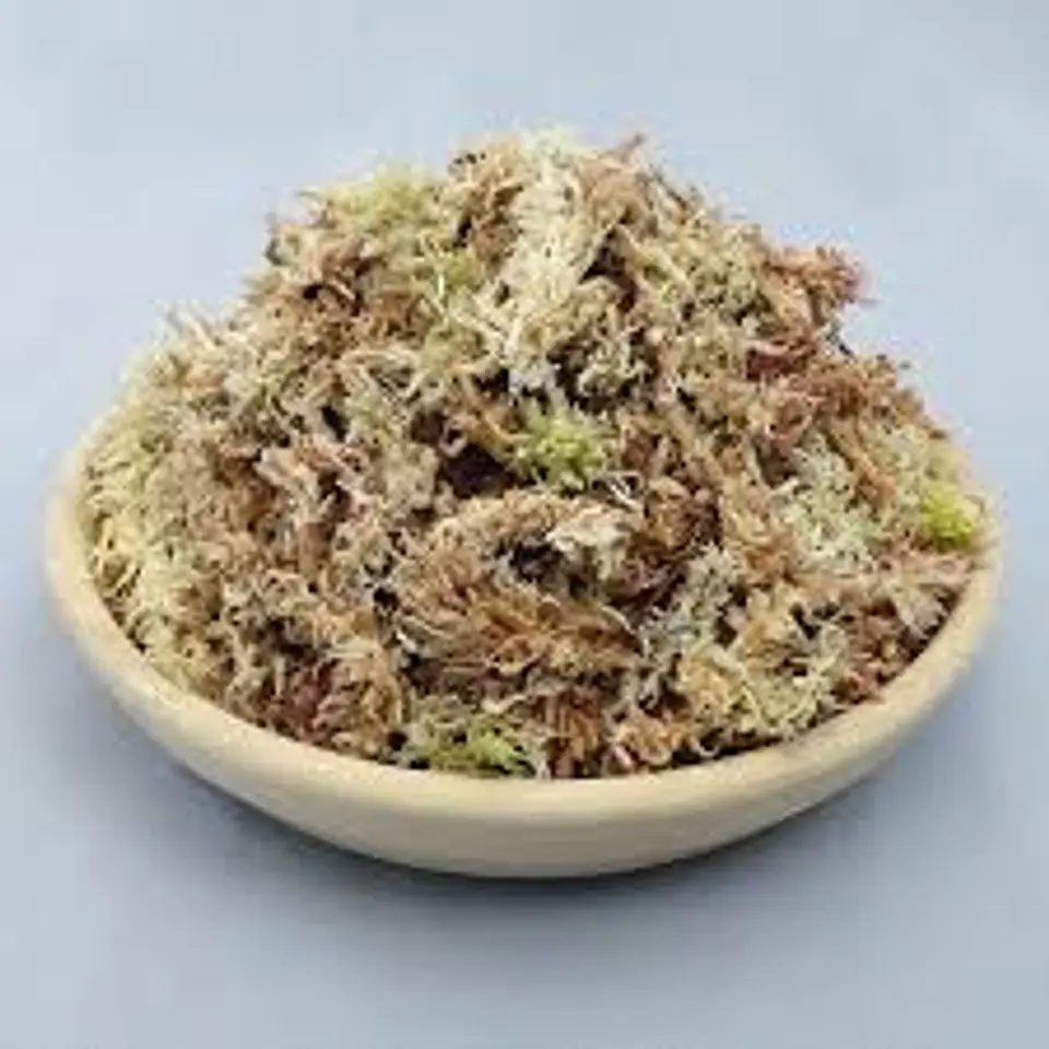 Jardín Victoria - Musgo Sphagnum 4 litros 1
