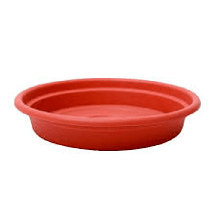 Plantas RV - Plato Terracota Tamaño XL  1