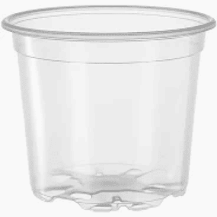 PLANTAS RV - Macetero Transparente N°13 1