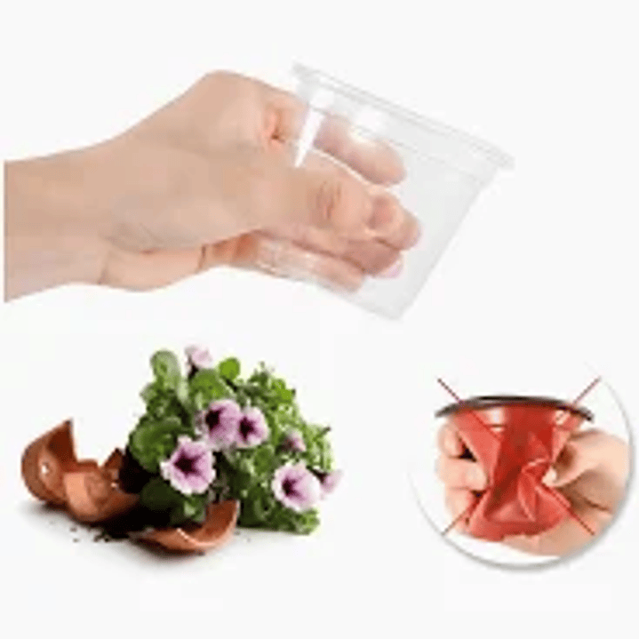 Plantas RV - Macetero transparente N°8  1