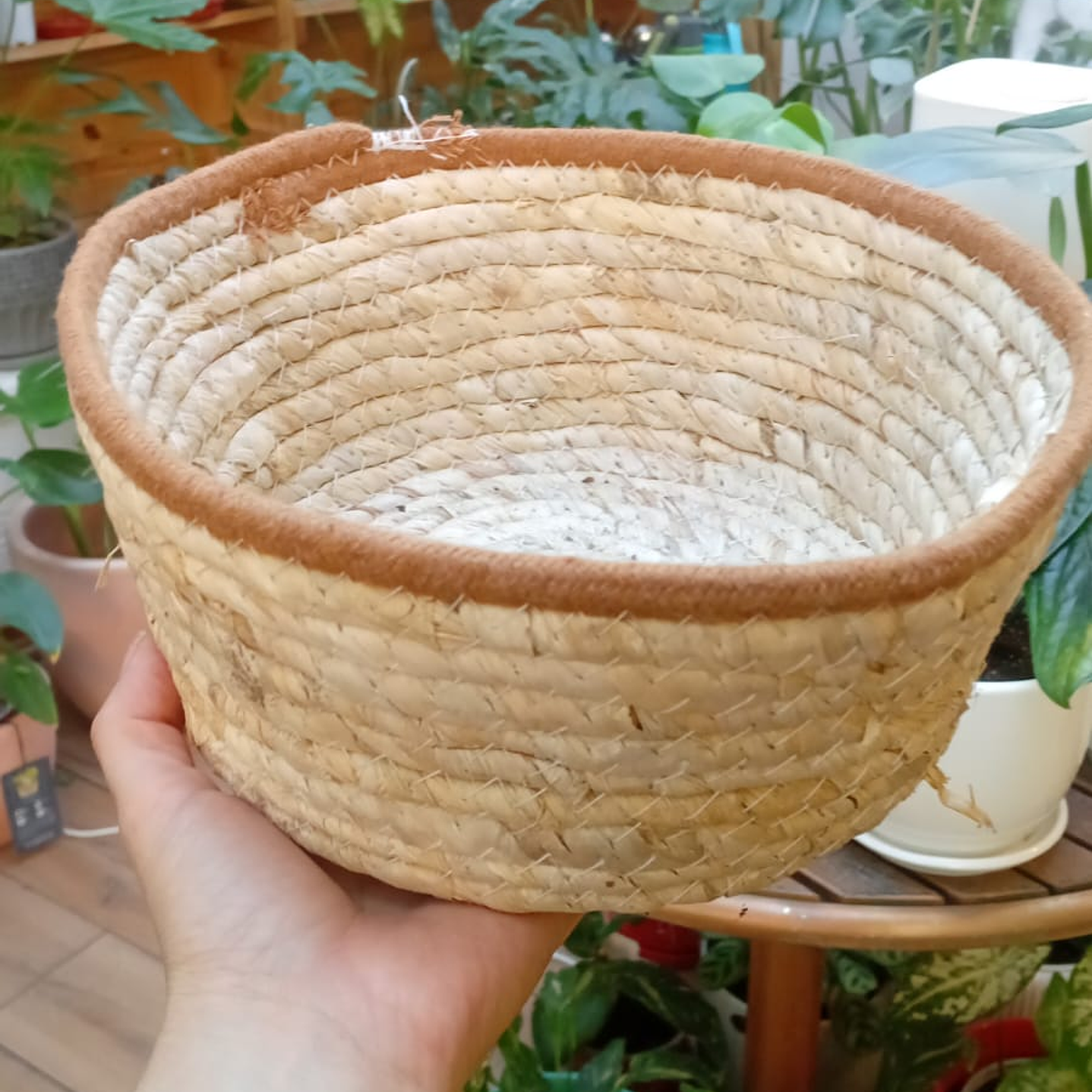 Plantas RV - Canasto mimbre sin manilla M  1