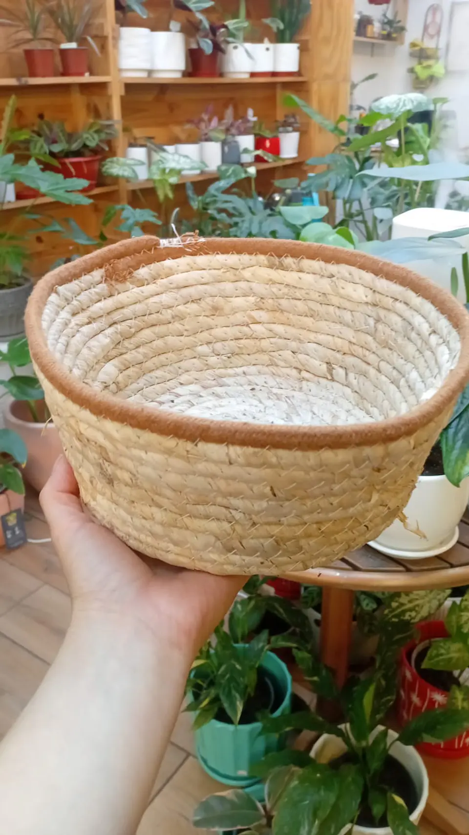Plantas RV - Canasto mimbre sin manilla M  1