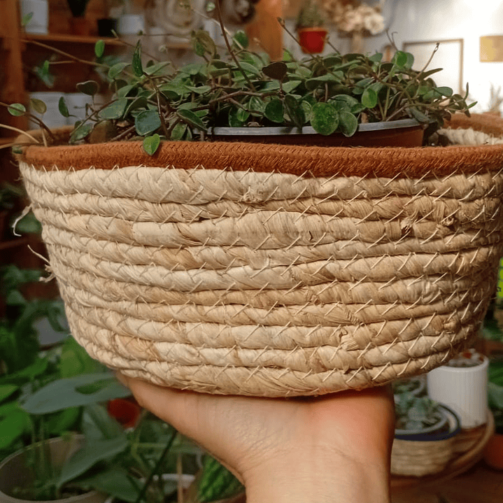 Plantas RV - Canasto mimbre sin manilla M  3