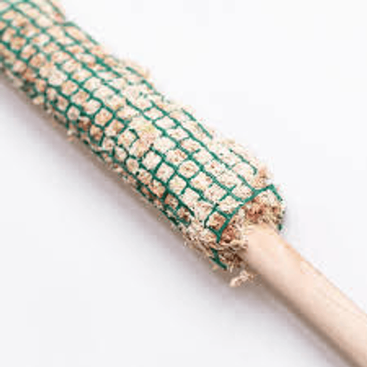 Plantas RV - Tutor de musgo 120 cm  1