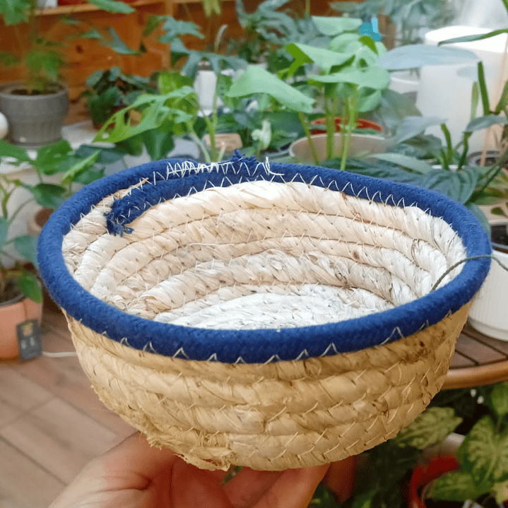Plantas RV - Canasto mimbre sin manilla XS  1