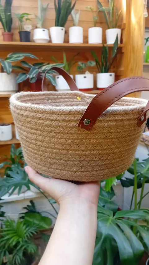 Plantas RV - Canasto mimbre con manilla tamaño único 