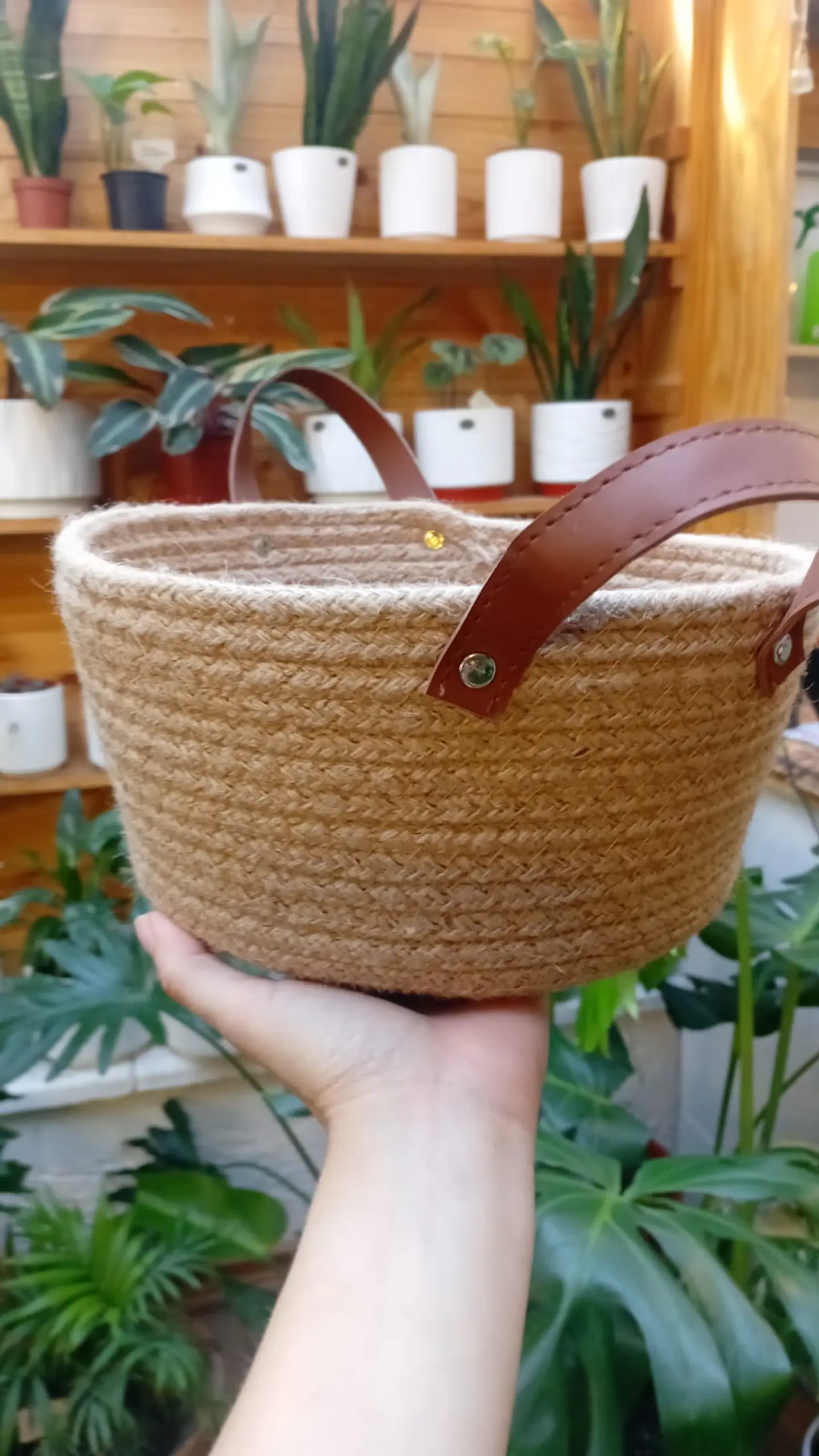 Plantas RV - Canasto mimbre con manilla tamaño único  1