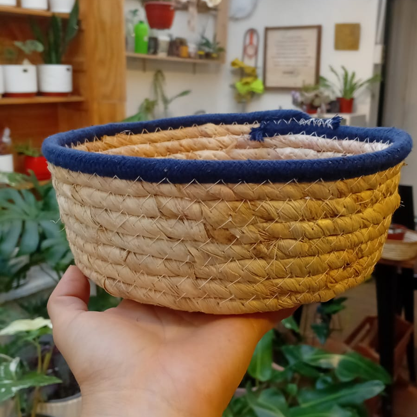 Plantas RV - Canasto mimbre sin manilla S  1