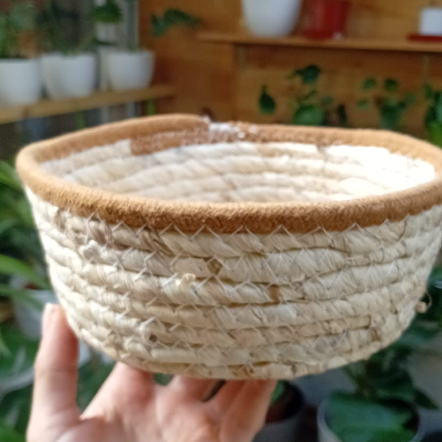 Plantas RV - Canasto mimbre sin manilla S  2