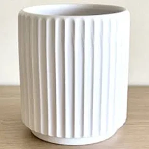 Plantas RV - Maceta tamaño S 