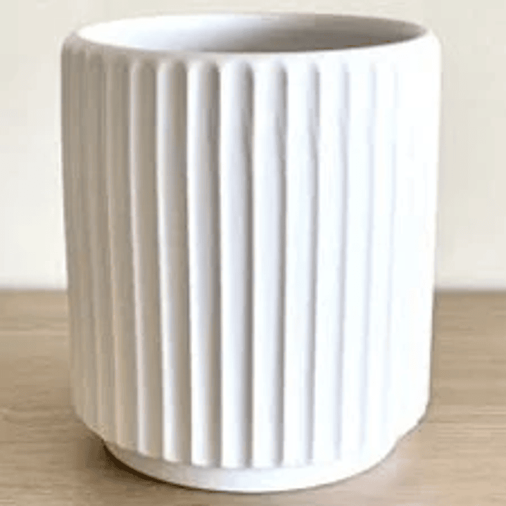 Plantas RV - Maceta tamaño S  1