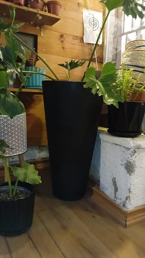 Plantas RV - Macetero conico 40*73 cm negro 