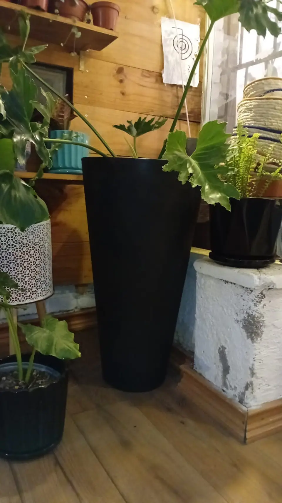 Plantas RV - Macetero conico 40*73 cm negro  1