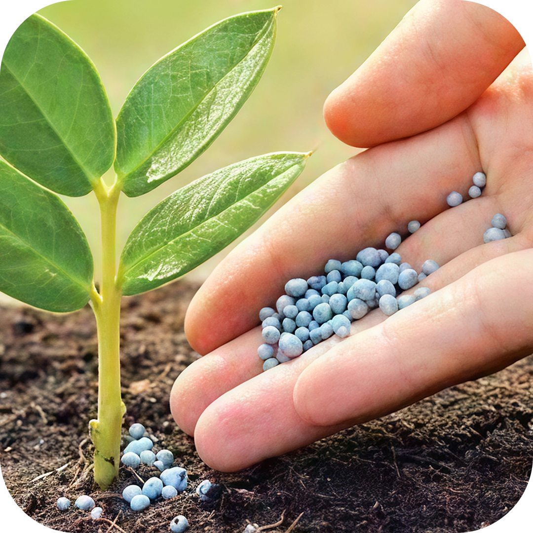 Fertilizantes