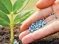 Fertilizantes